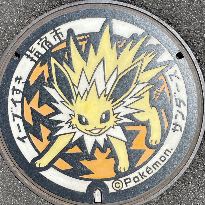 指宿市 ふれあいプラザなのはな館のポケふた（サンダース）の写真
