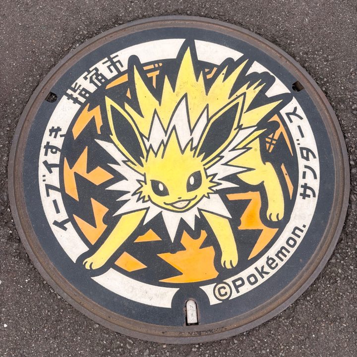鹿児島県指宿のポケふた（サンダース）の写真
