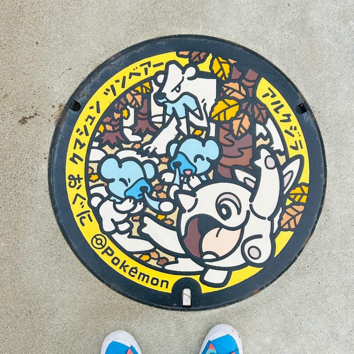 Photo of the Cetoddle, Cubchoo, Beartic Poké Lid in Oguni