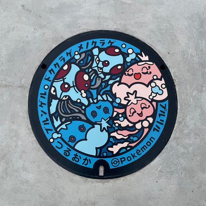 山形県/鶴岡市のポケふた（ドククラゲ・ブルンゲル・プルリル・メノクラゲ）の写真