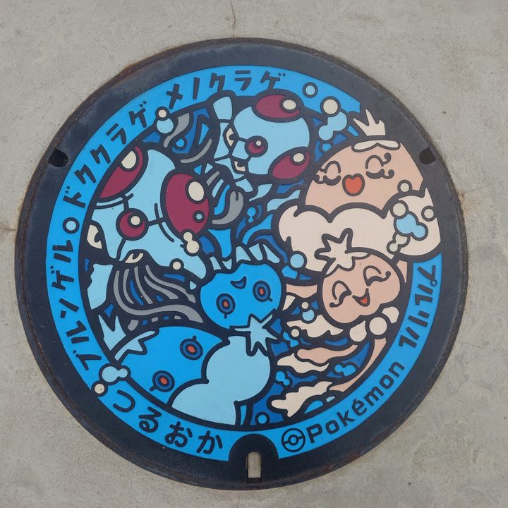 山形県鶴岡のポケふた（ドククラゲ・ブルンゲル・プルリル・メノクラゲ）の写真