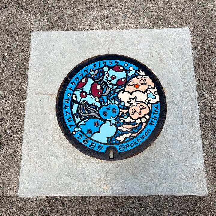 山形県/鶴岡市のポケふた（ドククラゲ・ブルンゲル・プルリル・メノクラゲ）の写真