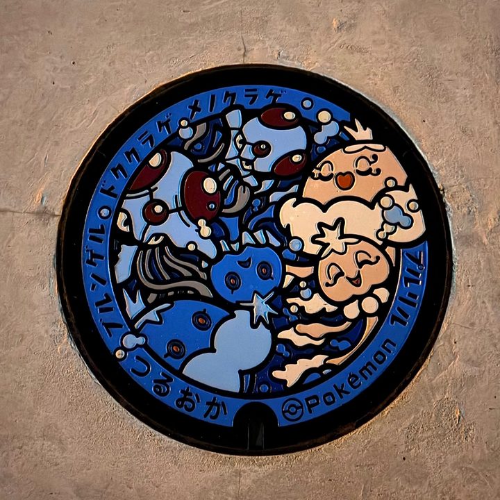 山形県鶴岡のポケふた（ドククラゲ・ブルンゲル・プルリル・メノクラゲ）の写真