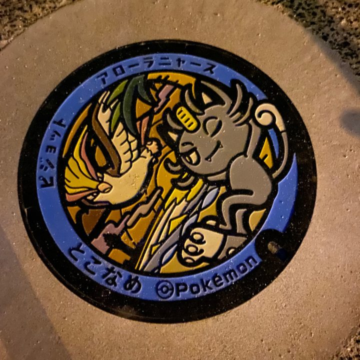 常滑市 りんくうビーチのポケふた（アローラニャース・ピジョット）の写真
