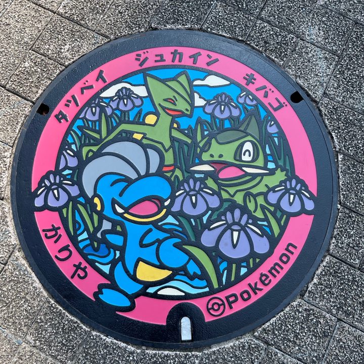 愛知県刈谷市のポケふた（キバゴ・ジュカイン・タツベイ）の写真