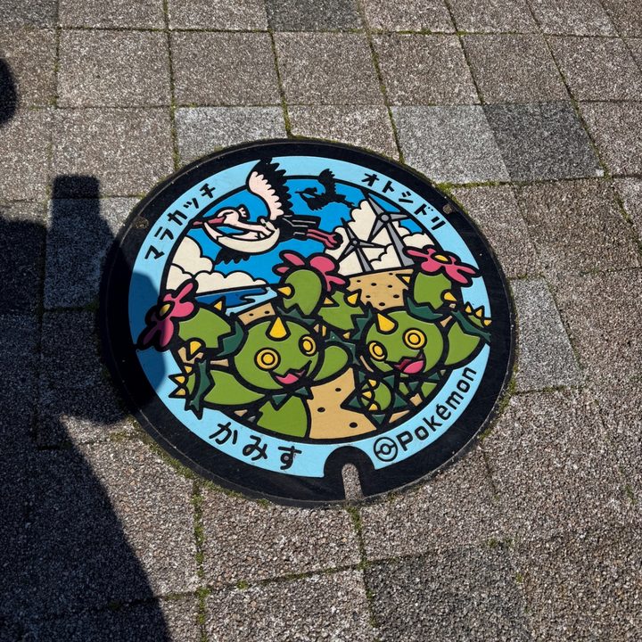 茨城県/神栖市のポケふた（オトシドリ・マラカッチ）の写真