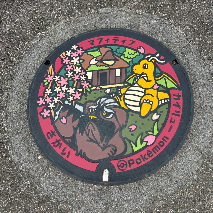 福井県/坂井市のポケふた（カイリュー・マフィティフ）の写真