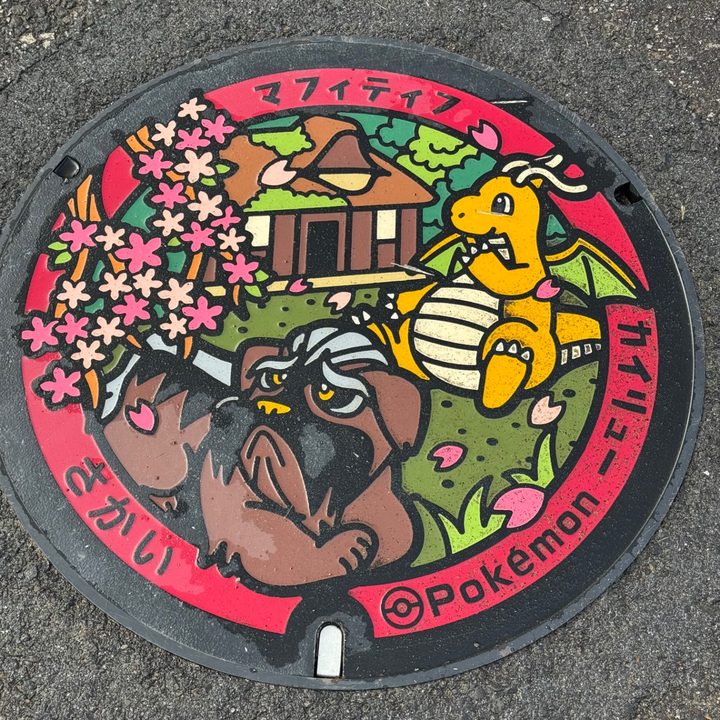 福井県坂井のポケふた（カイリュー・マフィティフ）の写真