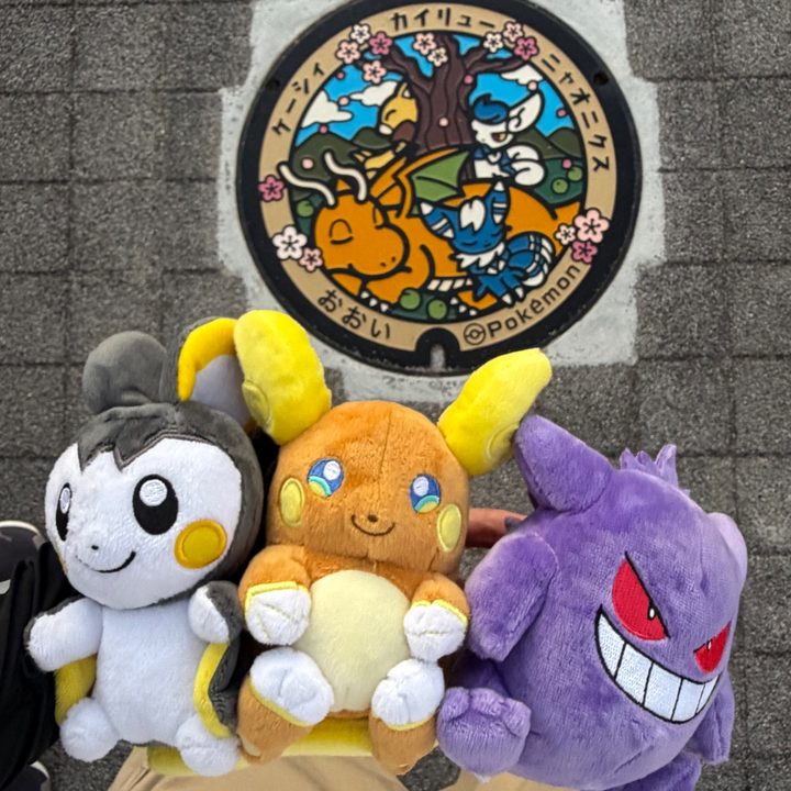 福井県おおいのポケふた（カイリュー・ケーシィ・ニャオニクス）の写真