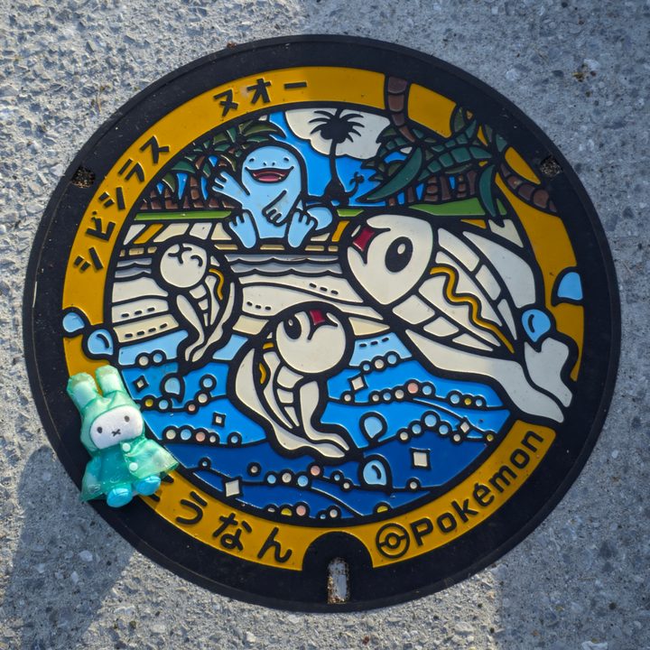 香南市 道の駅やすのポケふた（シビシラス・ヌオー）の写真