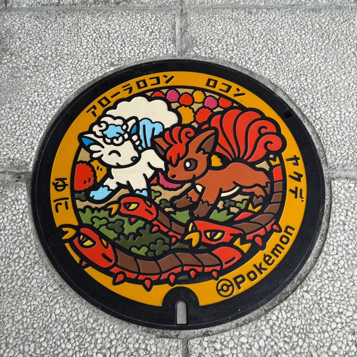 北海道由仁のポケふた（アローラロコン・ヤクデ・ロコン）の写真