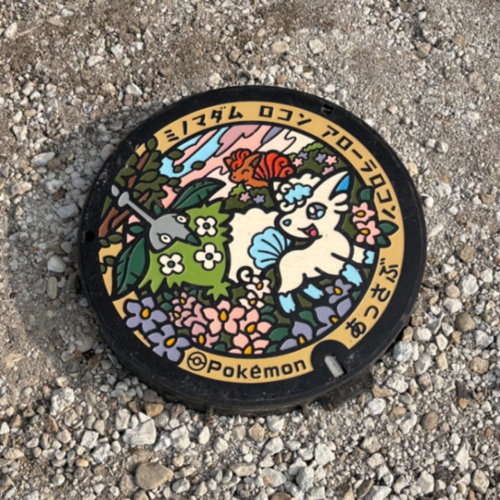 厚沢部町 道の駅あっさぶのポケふた（アローラロコン・ミノマダム・ロコン）の写真