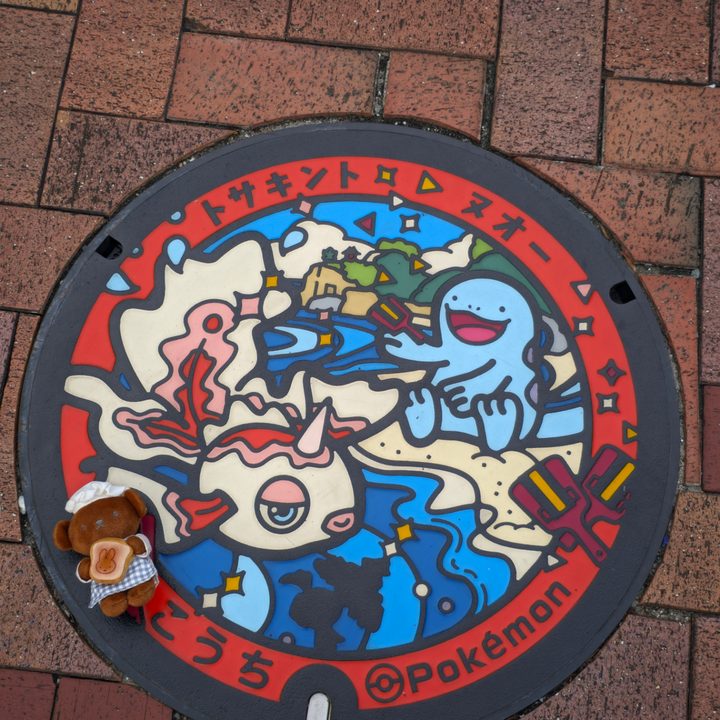 高知県高知のポケふた（トサキント・ヌオー）の写真