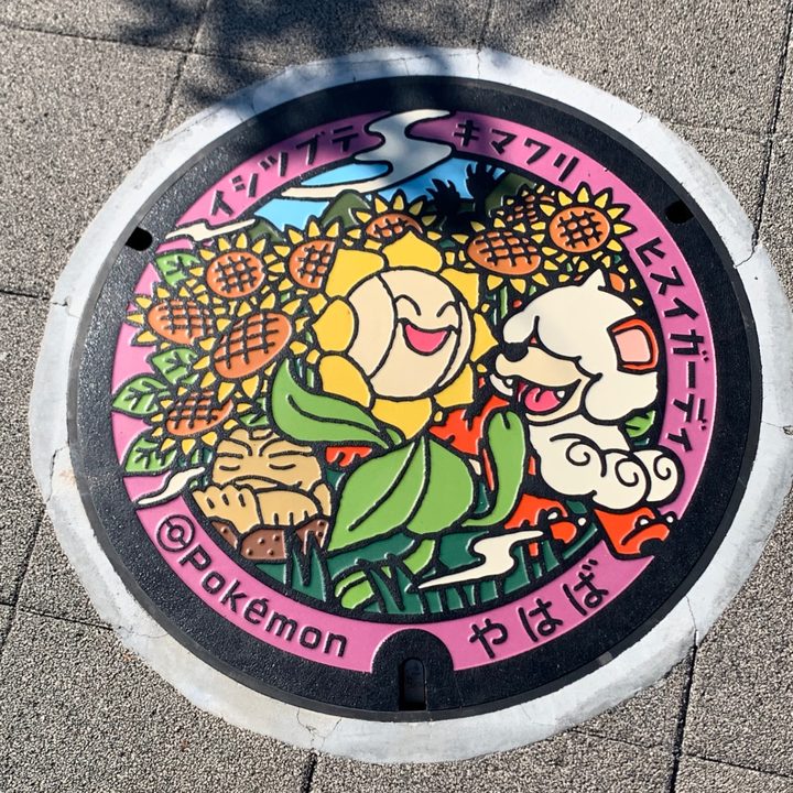 岩手県/矢巾町のポケふた（イシツブテ・キマワリ・ヒスイガーディ）の写真
