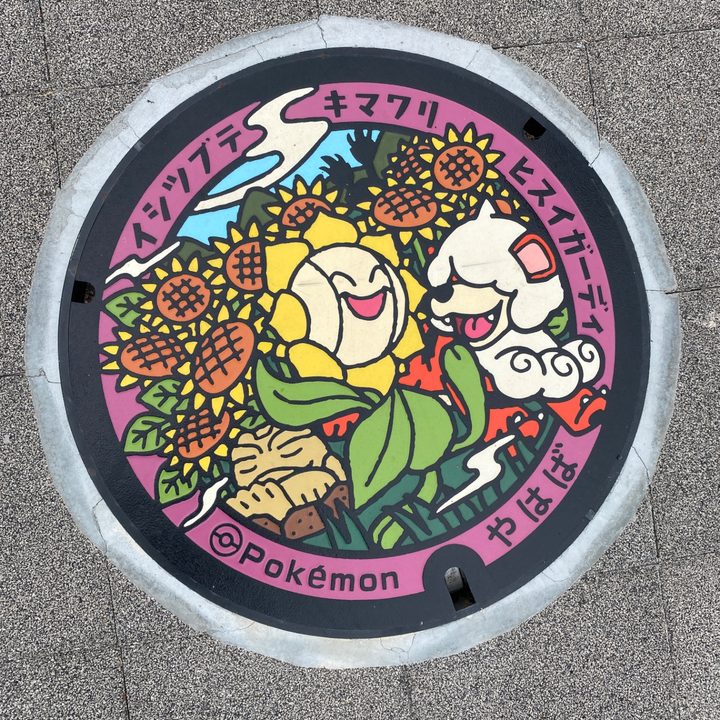 岩手県矢巾のポケふた（イシツブテ・キマワリ・ヒスイガーディ）の写真