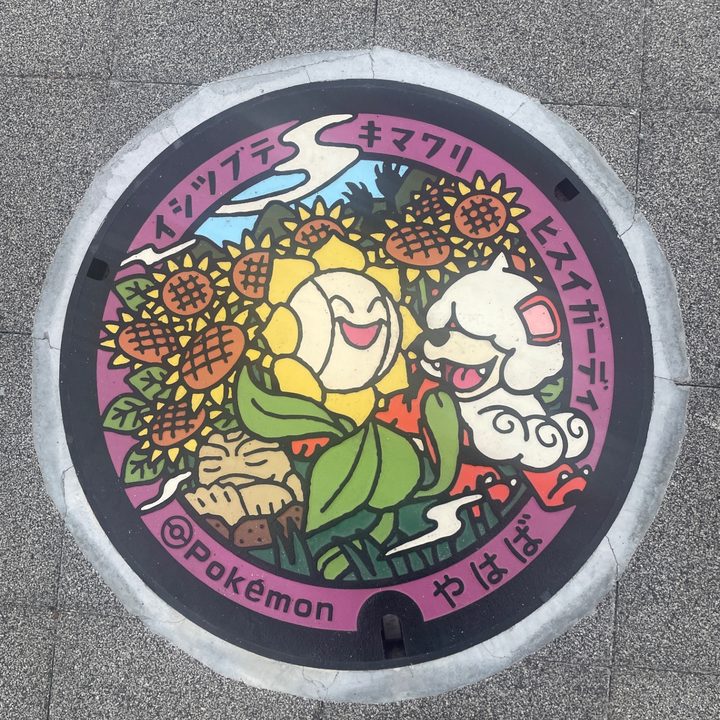 岩手県/矢巾町のポケふた（イシツブテ・キマワリ・ヒスイガーディ）の写真
