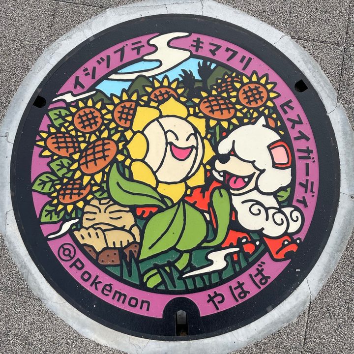岩手県/矢巾町のポケふた（イシツブテ・キマワリ・ヒスイガーディ）の写真