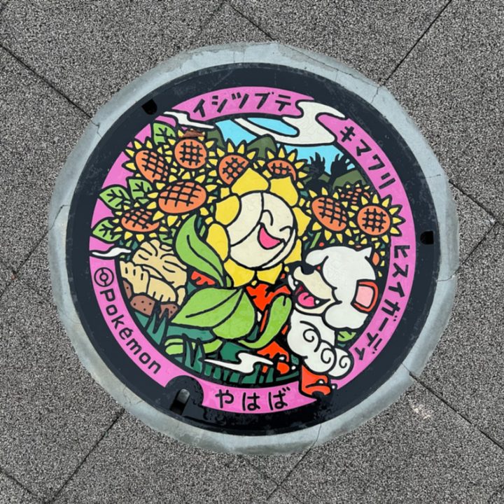 岩手県矢巾のポケふた（イシツブテ・キマワリ・ヒスイガーディ）の写真