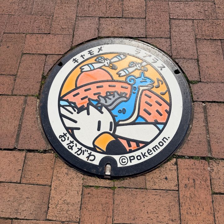 宮城県女川のポケふた（キャモメ・ラプラス）の写真