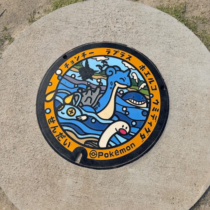 Photo of the Wiglett, Chinchou, Wailmer, Lapras Poké Lid in Sendai