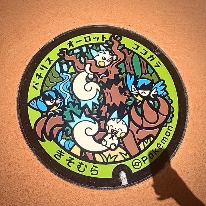 長野県木祖のポケふた（オーロット・ココガラ・パチリス）の写真