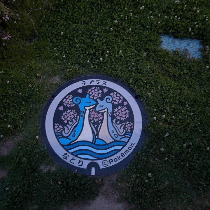 宮城県名取のポケふた（ラプラス）の写真
