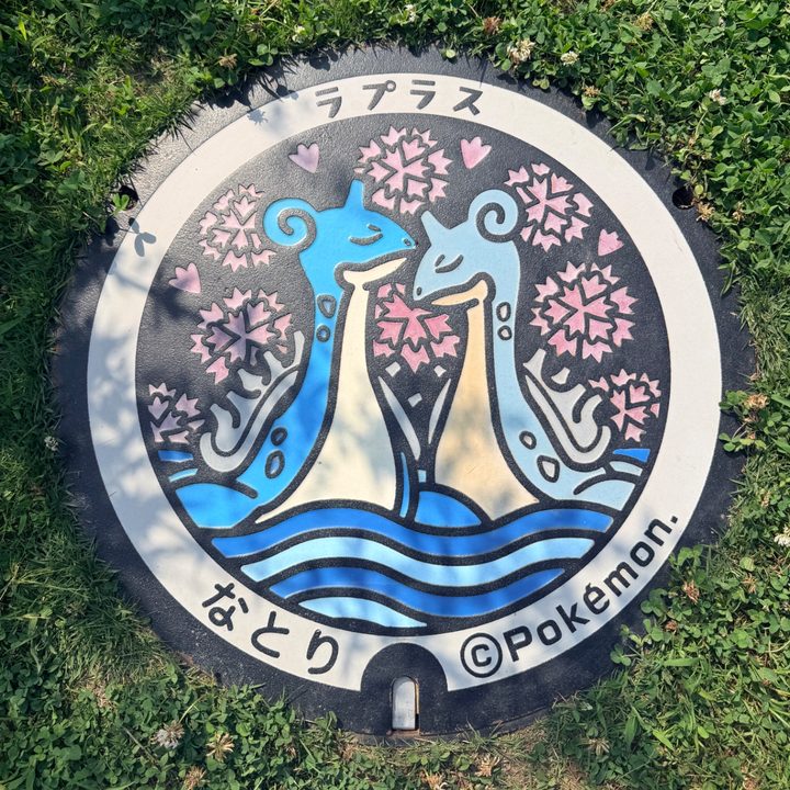 Photo of the Lapras Poké Lid in Natori