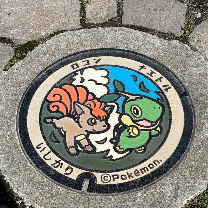 北海道石狩のポケふた（ナエトル・ロコン）の写真