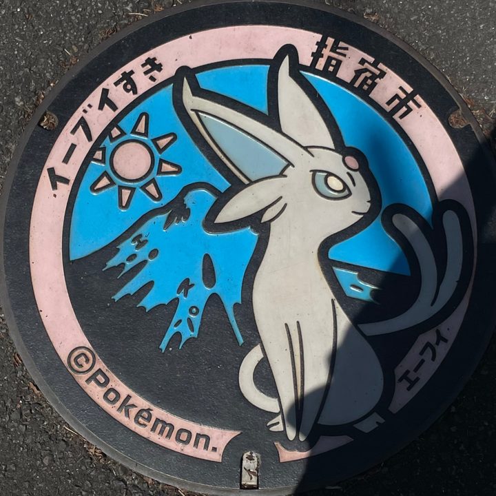 指宿市 セントラルパーク指宿のポケふた（エーフィ）の写真