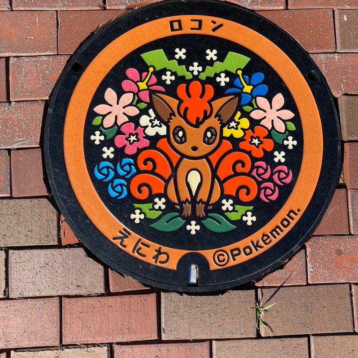 北海道恵庭のポケふた（ロコン）の写真