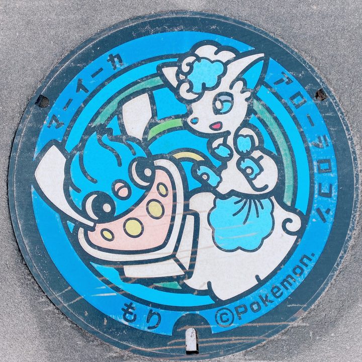 北海道森のポケふた（アローラロコン・マーイーカ）の写真