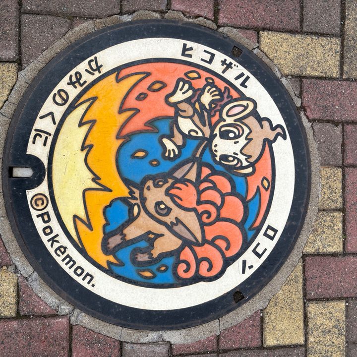 ロコン