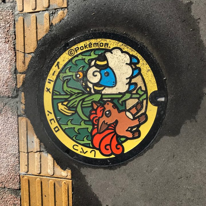 北海道士別のポケふた（メリープ・ロコン）の写真