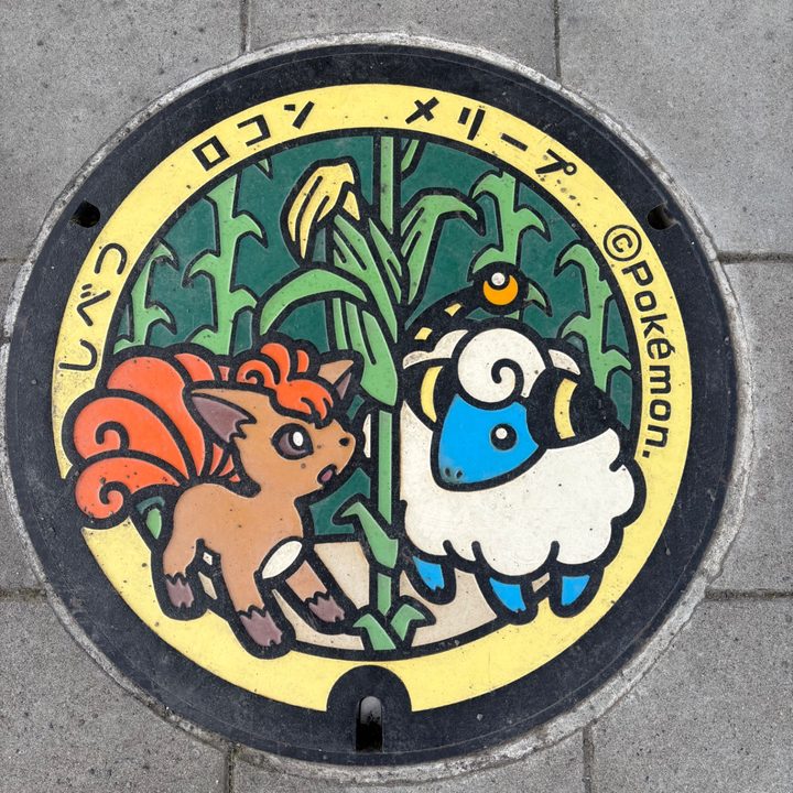 ロコン