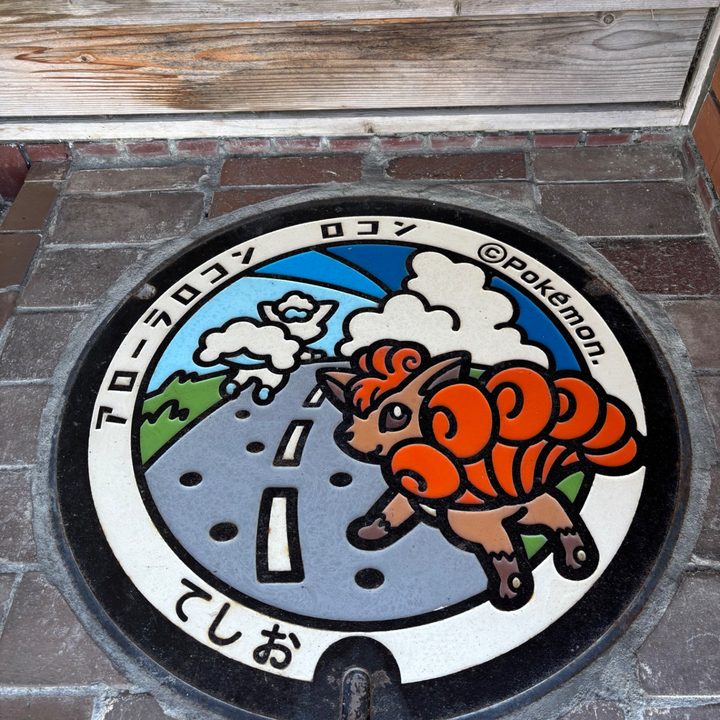 北海道天塩のポケふた（アローラロコン・ロコン）の写真