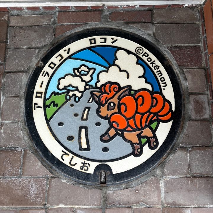 天塩町 道の駅てしおのポケふた（アローラロコン・ロコン）の写真
