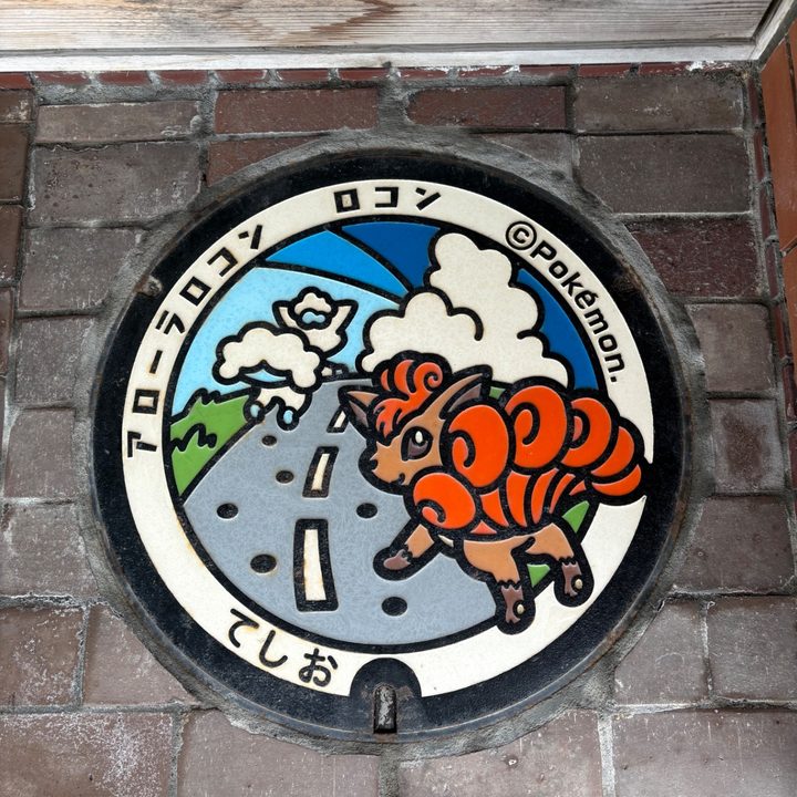 ロコン