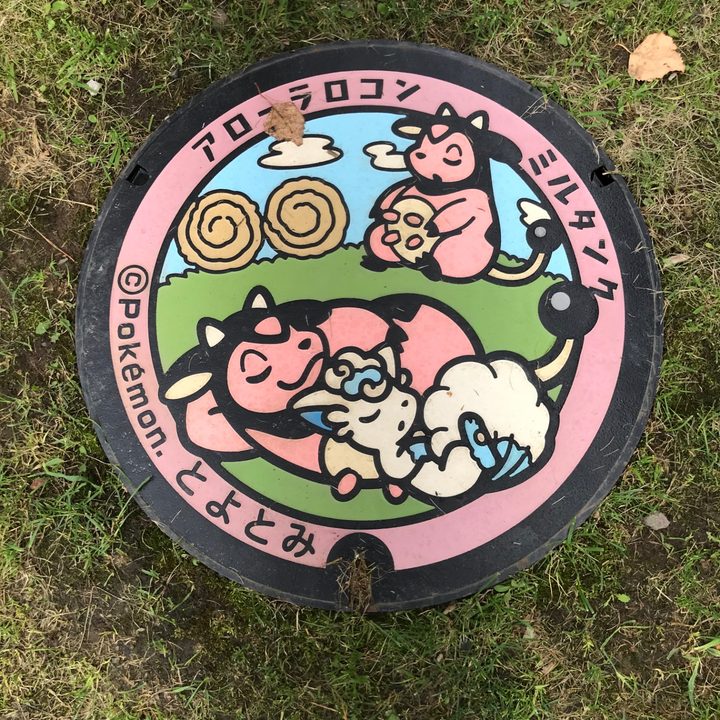 北海道豊富のポケふた（アローラロコン・ミルタンク）の写真