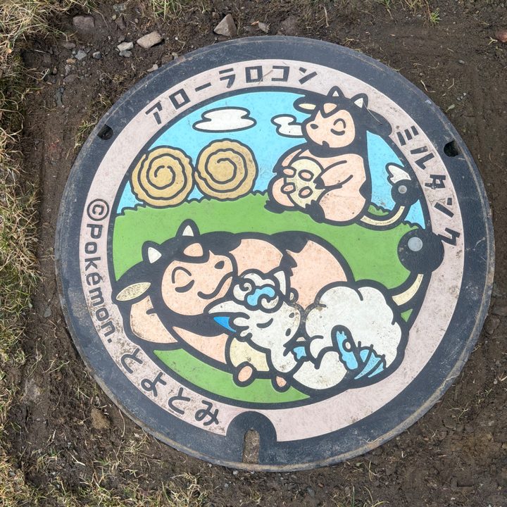 豊富町 定住支援センター「ふらっと★きた」敷地内のポケふた（アローラロコン・ミルタンク）の写真