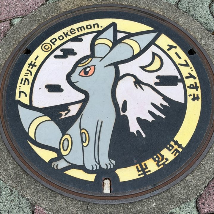 指宿市 指宿駅裏のポケふた（ブラッキー）の写真