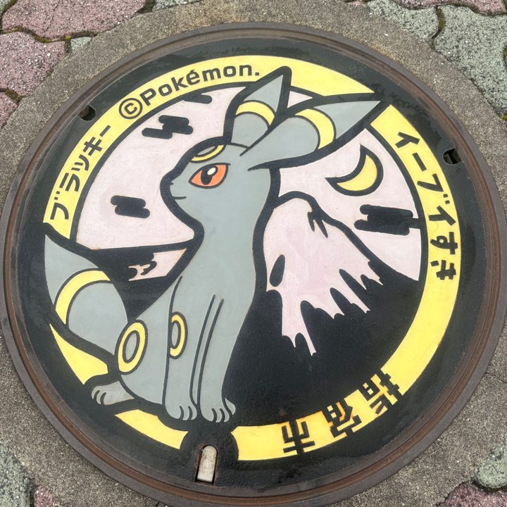 鹿児島県指宿のポケふた（ブラッキー）の写真