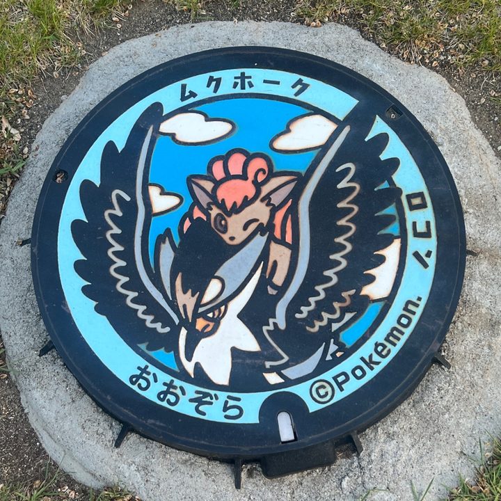 北海道大空のポケふた（ムクホーク・ロコン）の写真