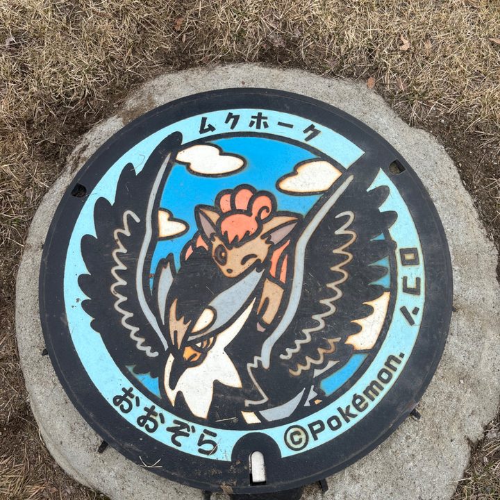 ロコン
