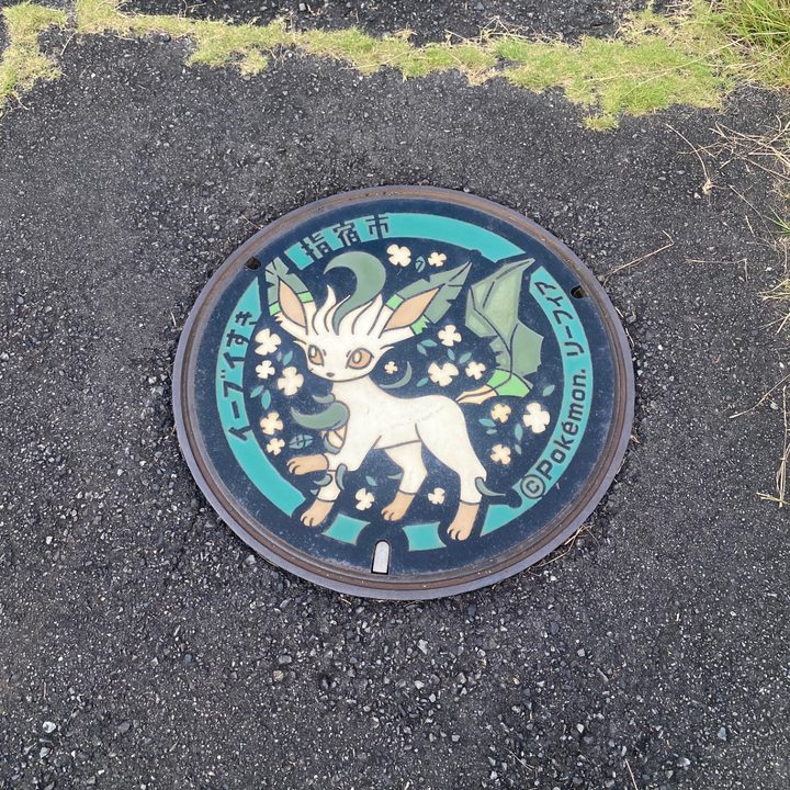 指宿市 指宿エコキャンプ場のポケふた（リーフィア）の写真