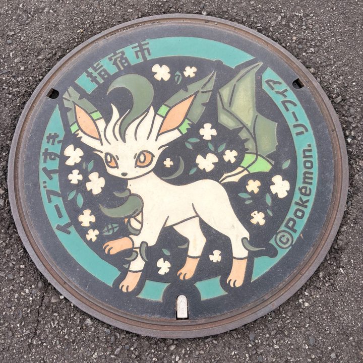 鹿児島県指宿のポケふた（リーフィア）の写真