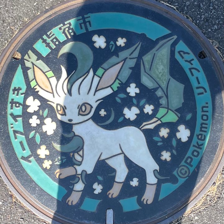 指宿市 指宿エコキャンプ場のポケふた（リーフィア）の写真