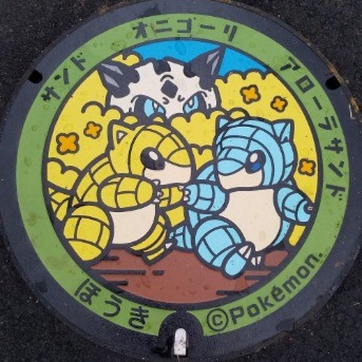鳥取県/伯耆町のポケふた（アローラサンド・オニゴーリ・サンド）の写真