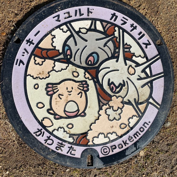 福島県川俣のポケふた（カラサリス・マユルド・ラッキー）の写真