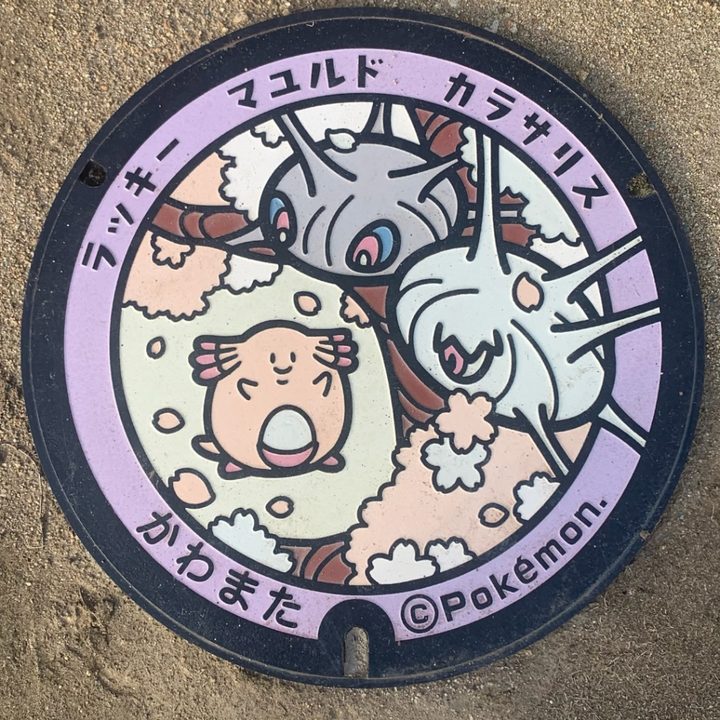 福島県川俣のポケふた（カラサリス・マユルド・ラッキー）の写真