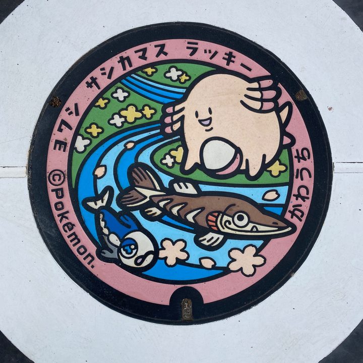 サシカマスのポケふた（福島県川内）